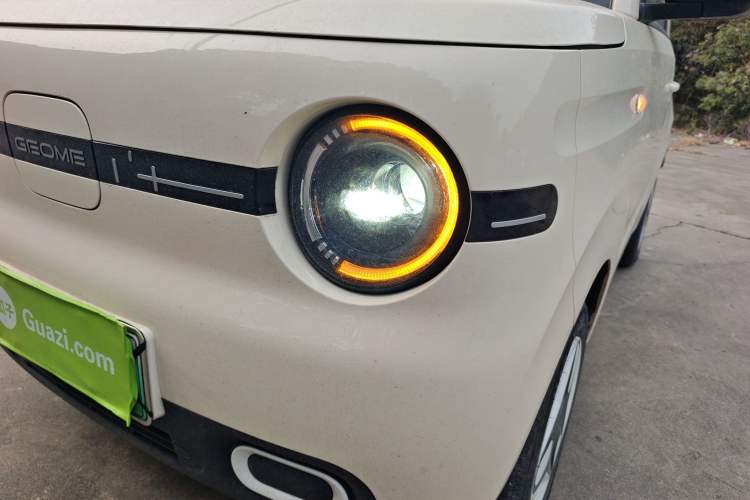 Used  Panda 2025 210 km – Yuanqi Bear