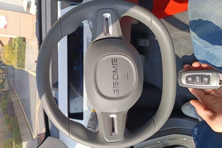 Used  Panda 2024 Panda Mini 200km Endurance Bear
