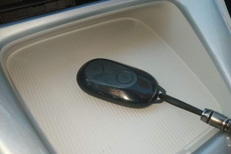 Used  Geome 2025 310km Youth Edition
