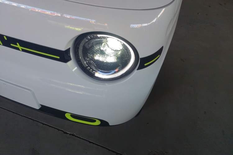 Used  Panda 2025 210 km – Yuanqi Bear
