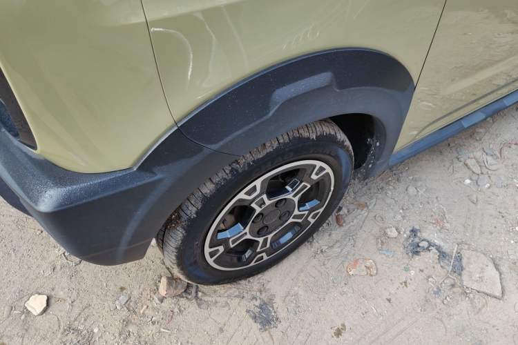 Used  Panda 2024 200km Panda Rider