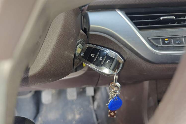 Used  Ruisheng Ace M7 2023 2.0L Long Wheelbase Entrepreneur Edition 2 Seats
