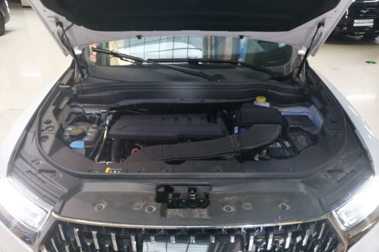 Used Haval H6 2023 National Trend Edition 1.5T Automatic Urban Version
