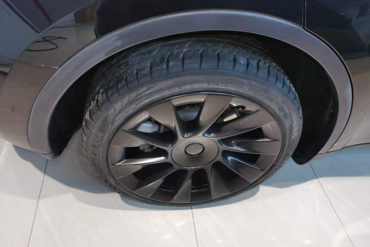Used Tesla Model Y 2021 Standard Range Rear-Wheel Drive Version
