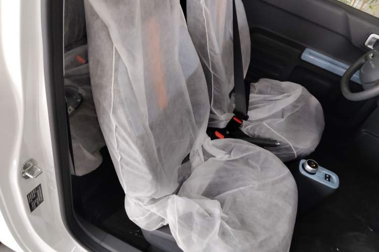 Used  Panda 2024 Panda Mini 200km Endurance Bear
