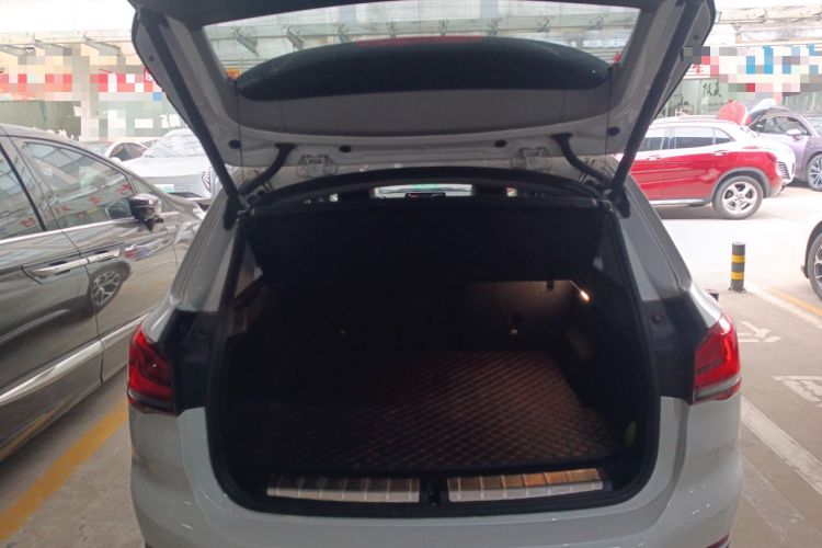 Used BMW X1 2020 sDrive20Li Premium Edition