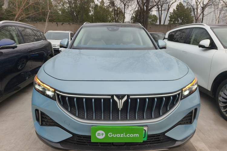 Used VOYAH FREE 2021 Four-Wheel Drive Standard All-Electric Exclusive Luxury Package