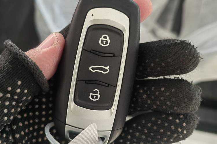 Used  Panda 2024 Panda Mini 200km Endurance Bear
