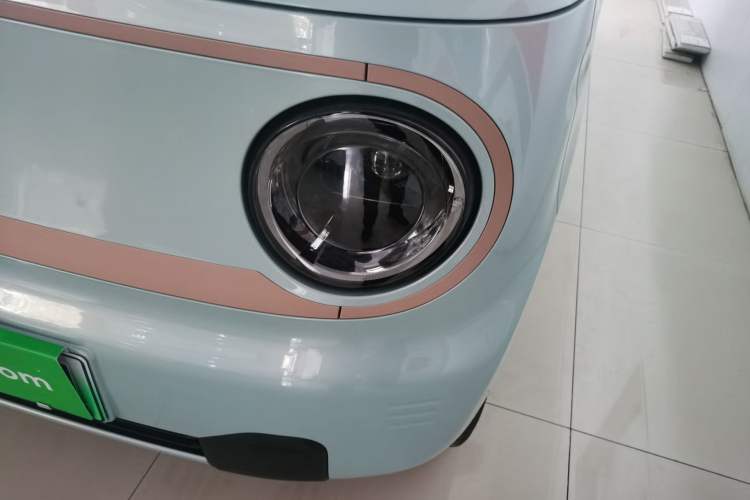 Used  Panda 2024 Panda Mini 200km Endurance Bear
