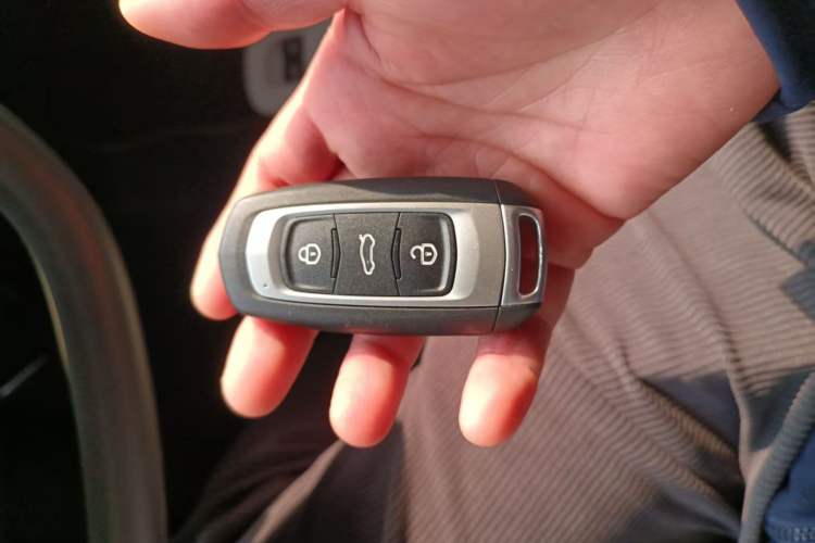 Used  Panda 2025 210 km – Yuanqi Bear
