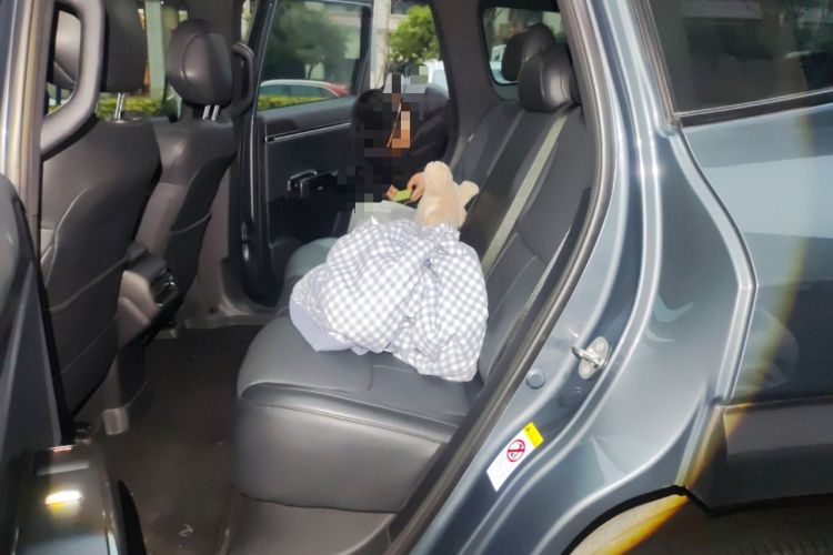 Used  G318 2024 Four-Wheel Drive Comfort Edition