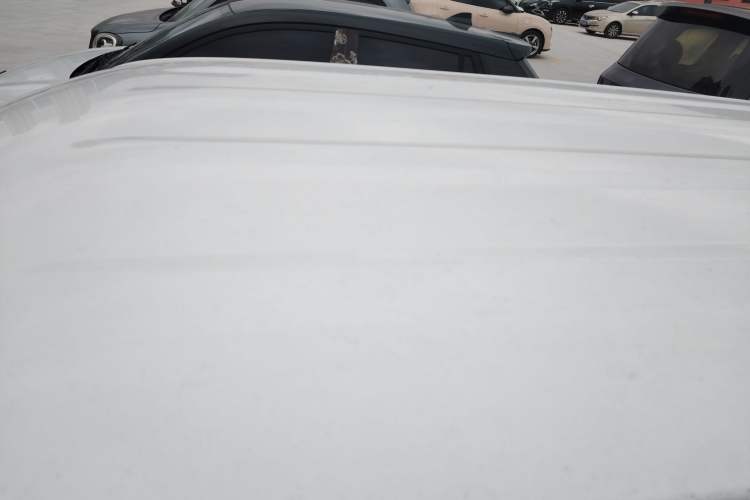 Used  Panda 2023 Panda Mini 200km Endurance Bear
