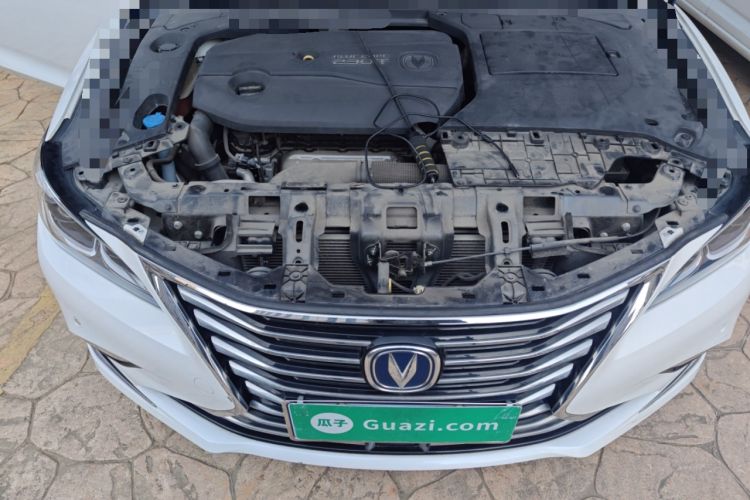 Used Changan Raeton CC 2018 1.5T Automatic Zunya Model China V Standard
