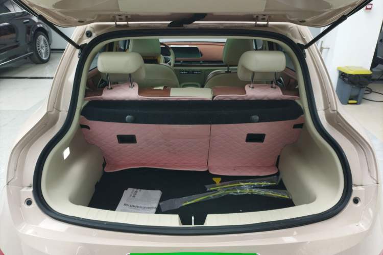 Used ORA Good Cat 2021 400km Standard Range Venus Edition Lithium-Ion Battery
