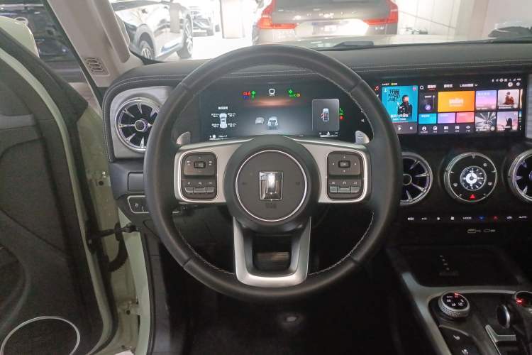 Used Tank 300 2024 2.0T Crosser
