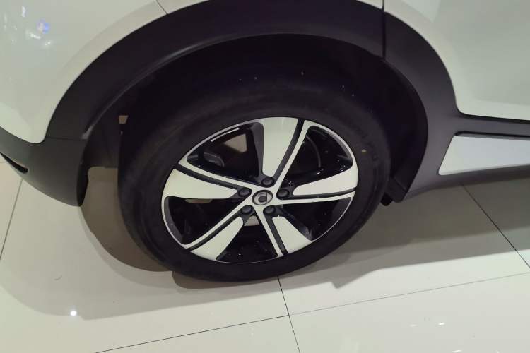 Used  #1 2024 Dynamic Standard Edition
