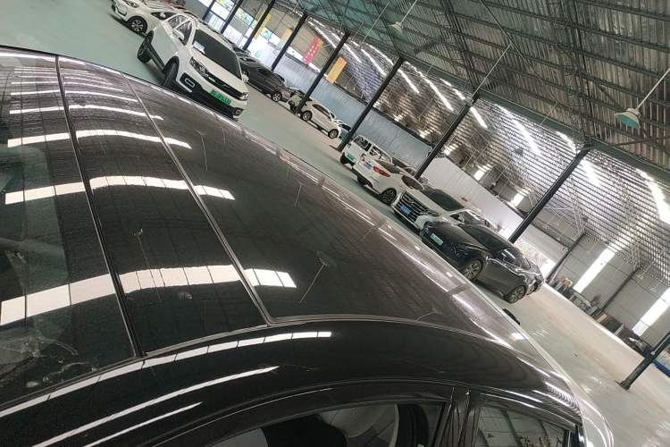 Used firefly firefly 2025 Free Edition
