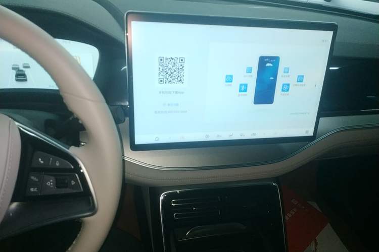 Used BYD Tang New Energy 2025 DM-i 115KM Prestige Model