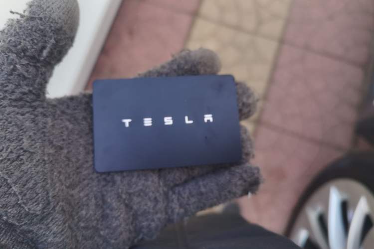 Used Tesla Model Y 2025 Updated Version Long-Range All-Wheel Drive
