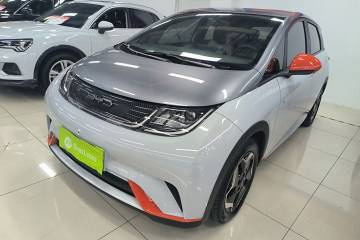 Used BYD Dolphin 2021 405 km Free Version