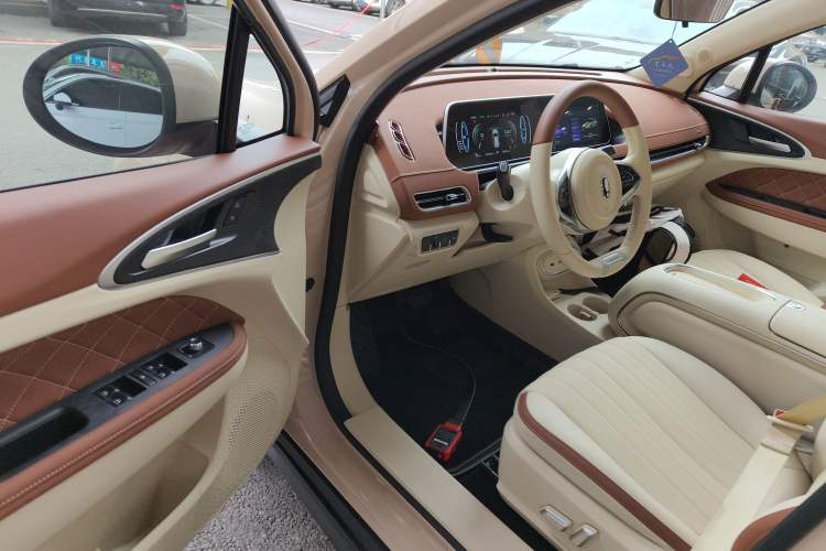 Used ORA Good Cat 2023 401 km Standard Range Luxury Version Lithium Iron Phosphate
