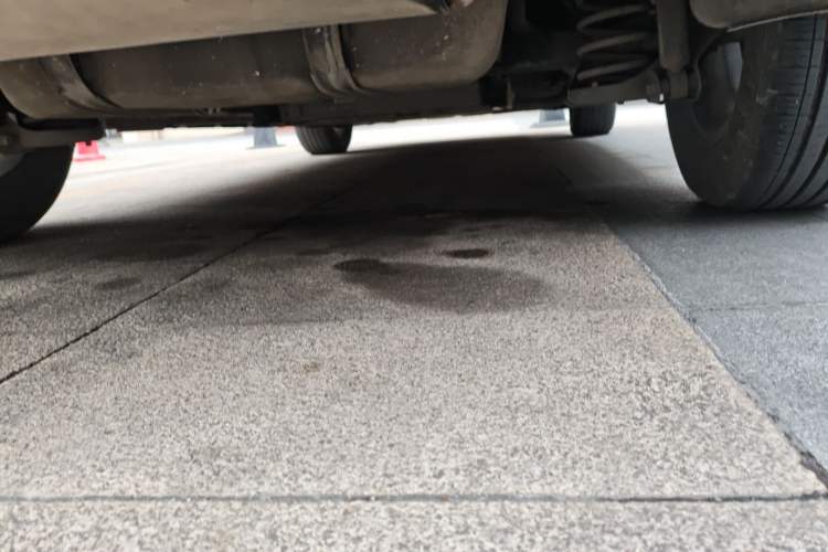 Used BYD Qin PLUS 2023 Champion Edition DM-i 55KM Leading Model
