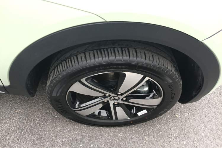 Used  #1 2026 Dynamic Upgrade Edition
