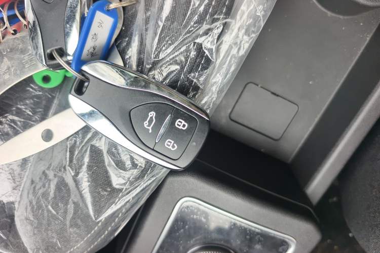 Used Dayun Yuehu 2023 300 Standard Edition