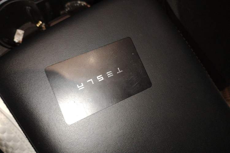 Used Tesla Model Y 2021 Standard Range Rear-Wheel Drive Version
