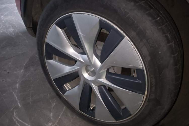 Used Tesla Model Y 2021 Standard Range Rear-Wheel Drive Version
