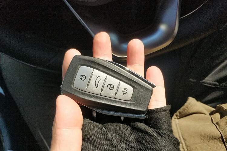 Used Geometry E Firefly 2022 320KM Cute Tiger 4-Seater