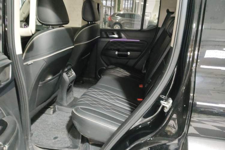 Used Tank 300 2024 2.0T Challenger
