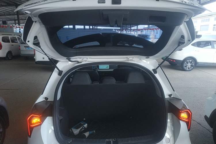 Used Geometry E Firefly 2024 401 km Fluorescent