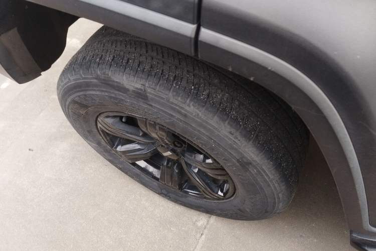 Used Tank 300 2021 Off-Road Edition 2.0T Conqueror