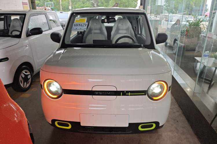 Used  Panda 2025 210 km – Yuanqi Bear
