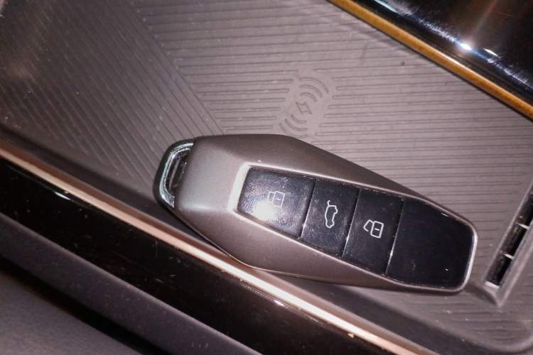 Used  03 2024 501km Two-Wheel Drive Long-Range Version
