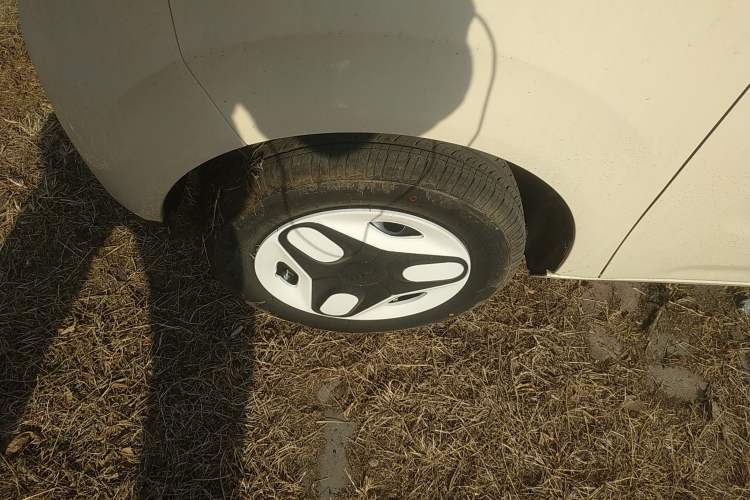 Used  Panda 2025 210 km – Yuanqi Bear
