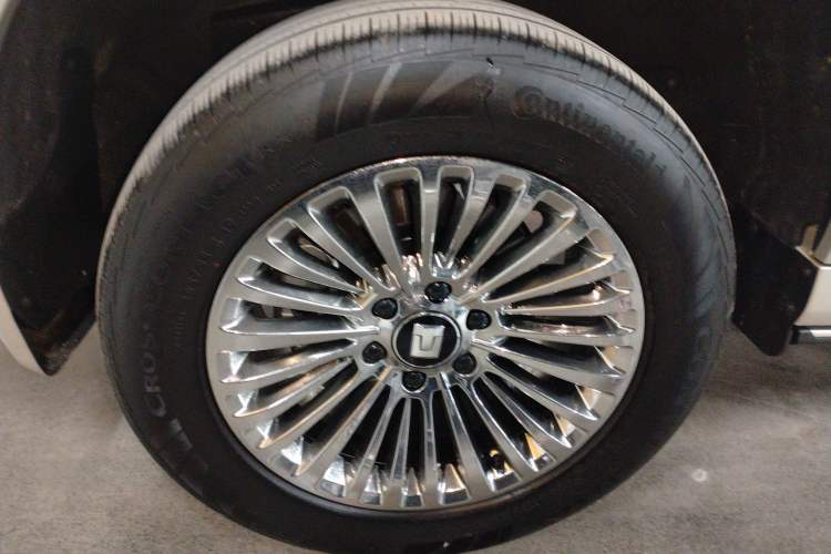 Used Tank 500 New Energy 2024 Hi4-T