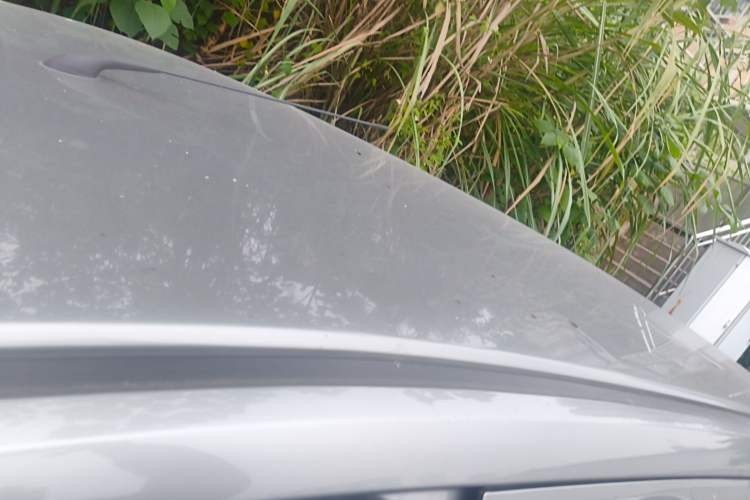 Used Baojun 310W 2017 1.2L Manual Value Edition China V
