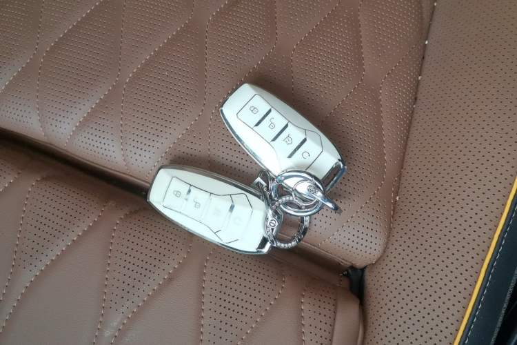 Used BYD Tang New Energy 2021 DM-i 112KM Prestige Model
