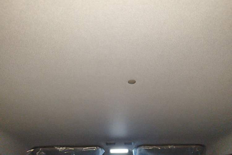 Used  Panda 2024 Panda Mini 200km Endurance Bear