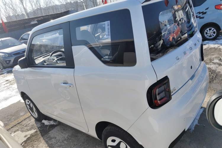 Used  Panda 2025 210 km – Yuanqi Bear
