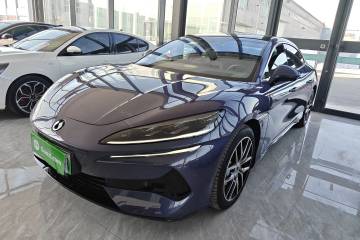 Used Denza Z9 2024 1100 km Four-Wheel Drive Max Version