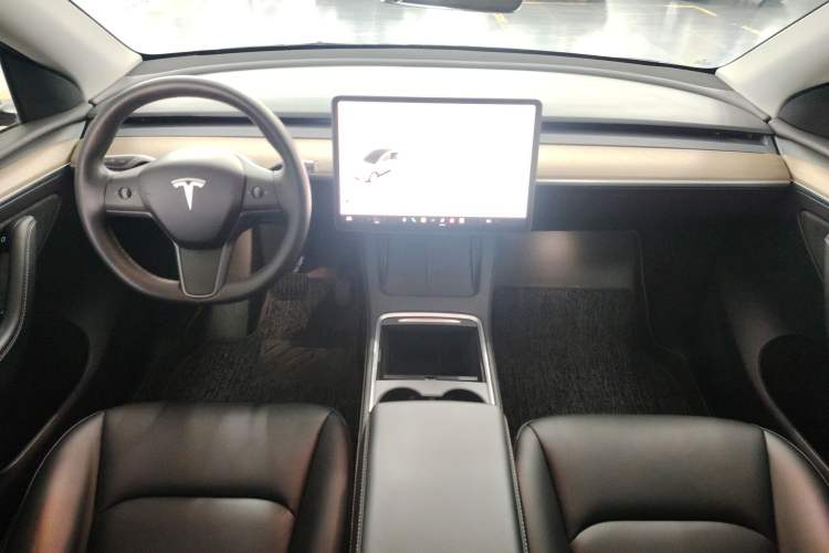 Used Tesla Model Y 2021 Standard Range Rear-Wheel Drive Version