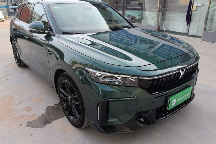 Used VOYAH FREE 2024 Ultra-Long Range Intelligent Driving Version
