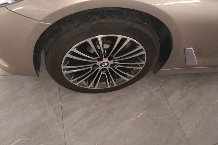 Used BMW 5 Series 2019 530Li Luxury Edition Premium Package