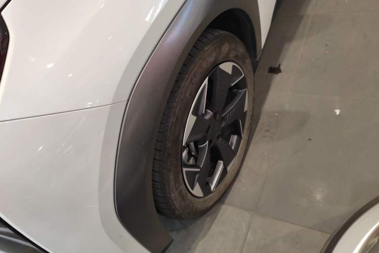 Used AION Y 2022 70 Enjoyment Edition Lithium Iron Phosphate
