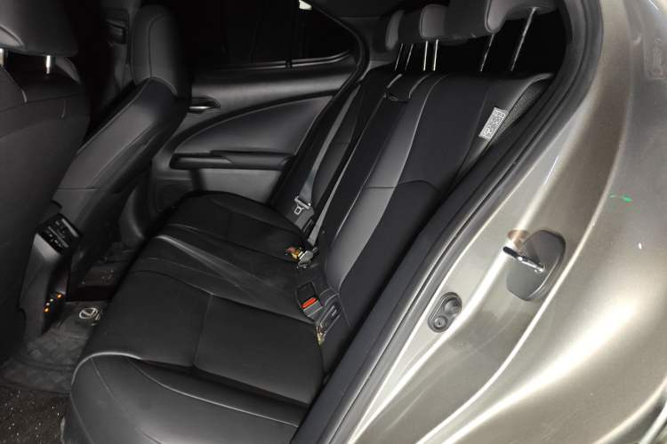 Used Lexus UX New Energy 2020 300e Pure·Joy Edition
