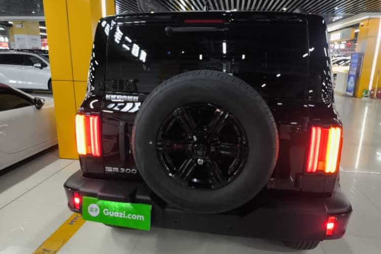 Used Tank 300 2025 2.0T Challenger
