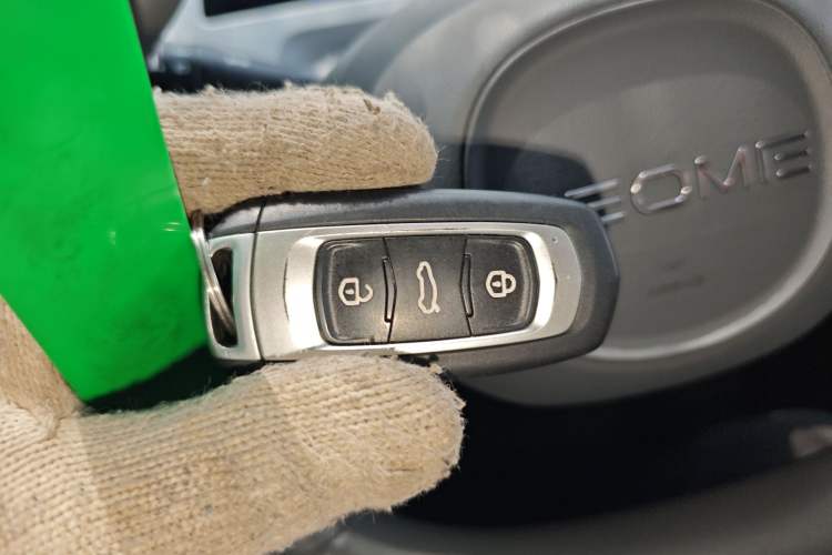 Used  Panda 2024 Panda Mini 200km Endurance Bear
